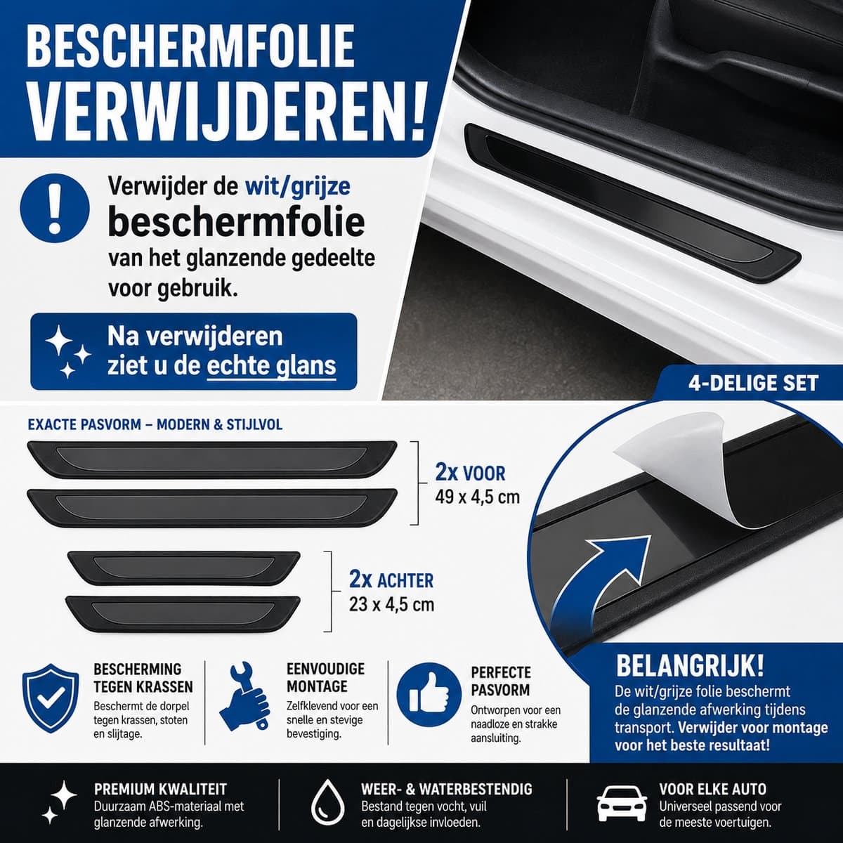 Instaplijsten voor de Renault Scenic 4 – set van 4 | S2 Serie 3