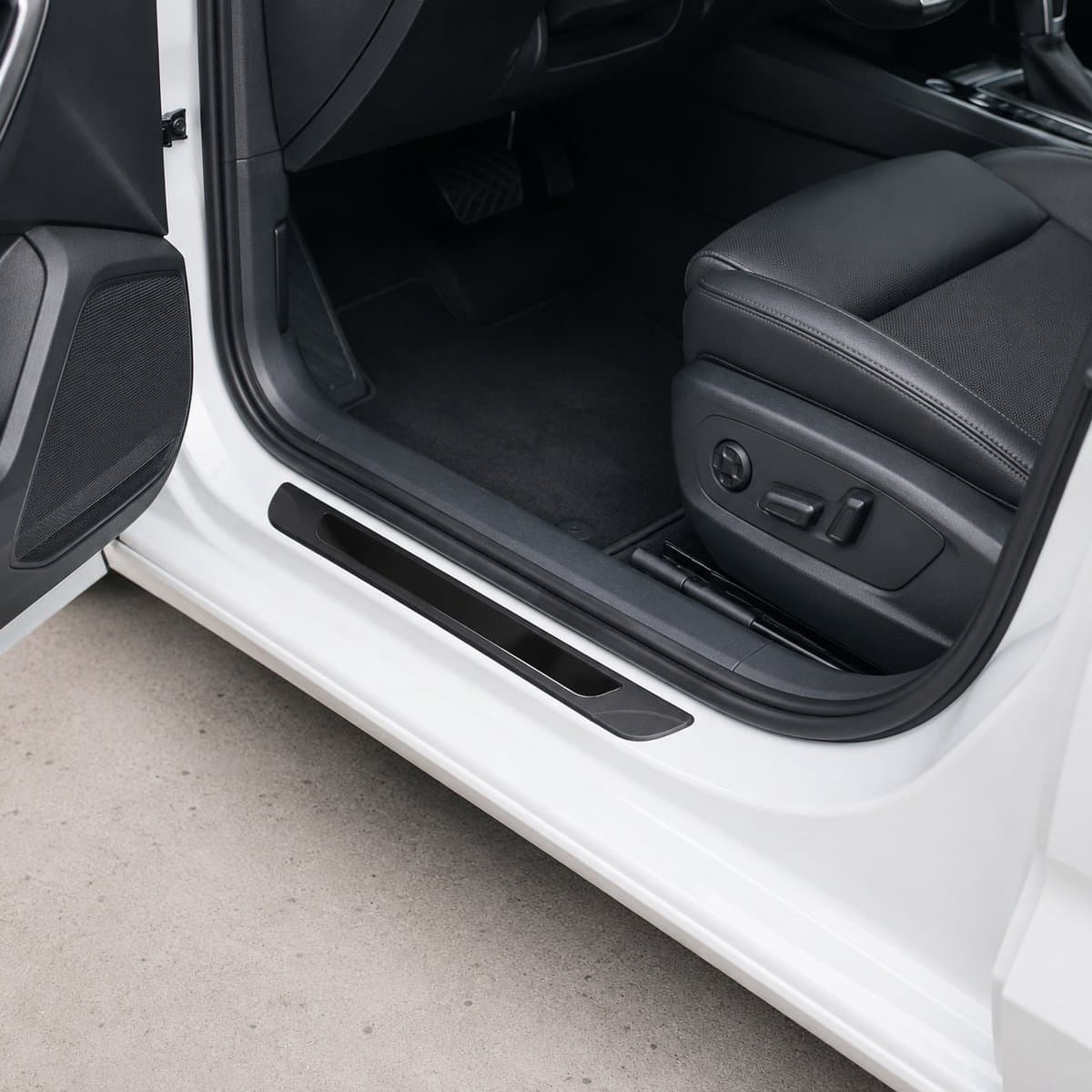 Instaplijsten voor de Renault Scenic 4 – set van 4 | TS Serie 4